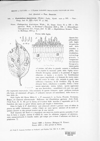 Venturia inaequalis image